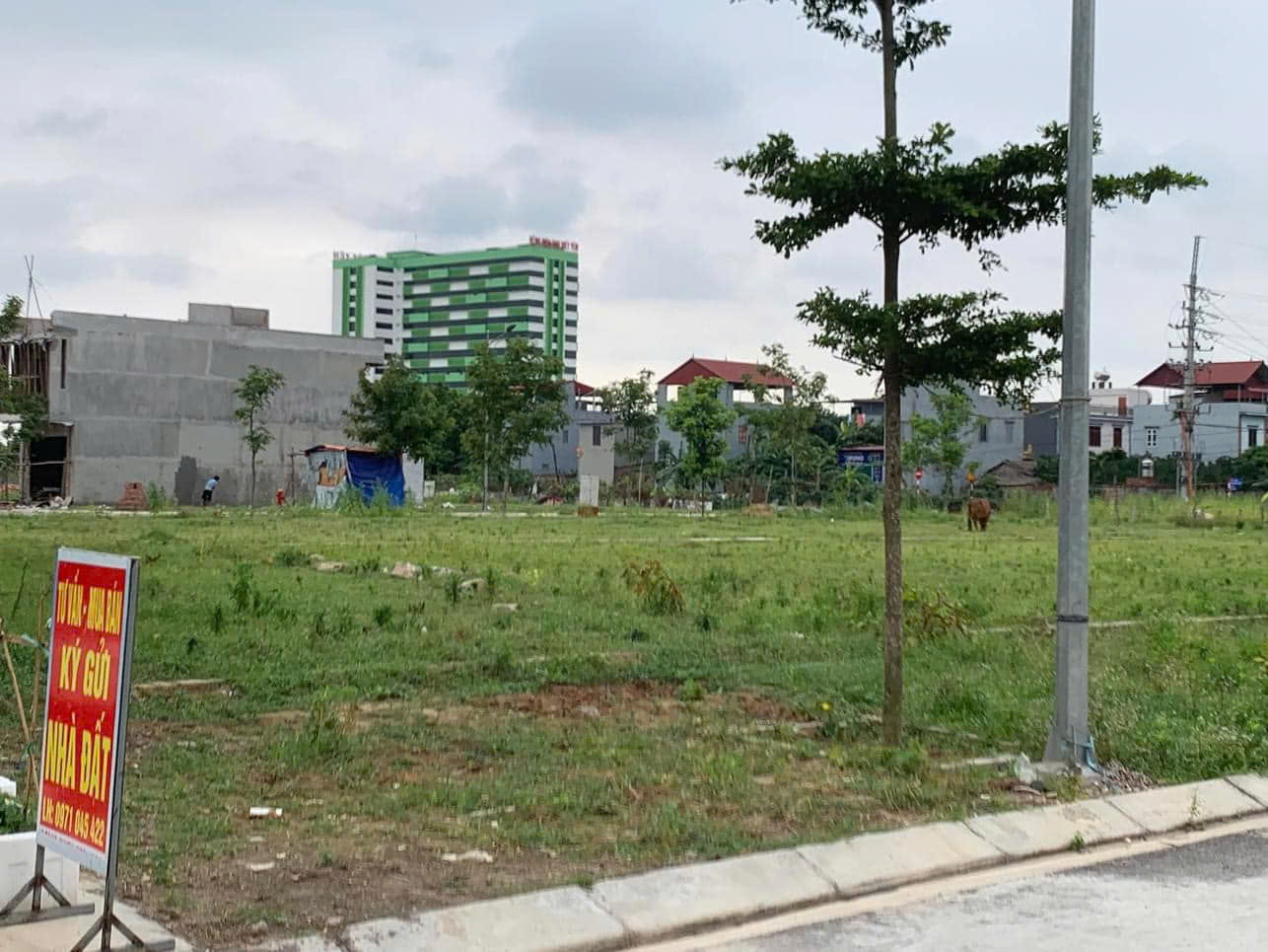 z6442684628043_6f499b0617baad742bc205fb25df9b21