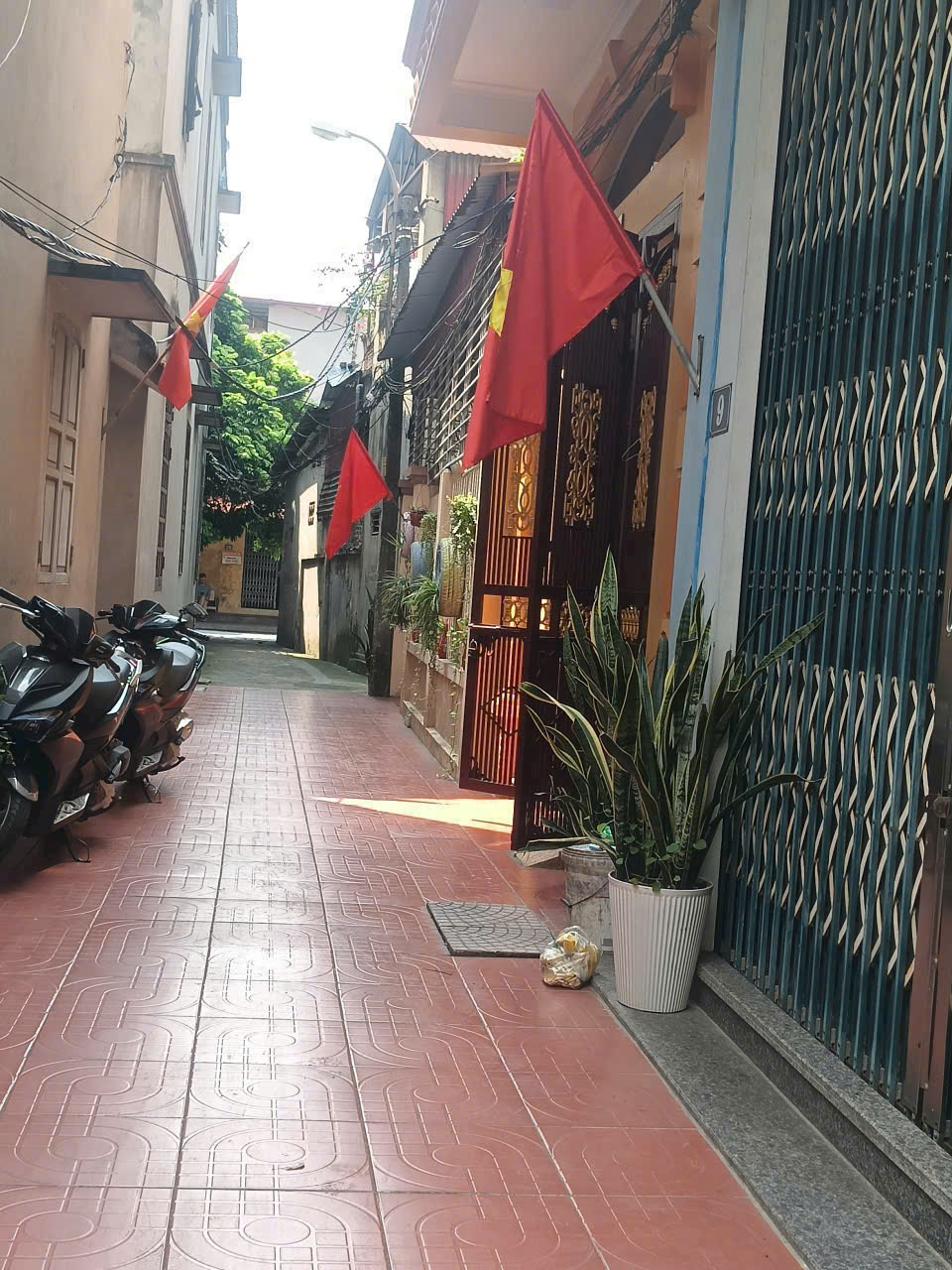 z7185101393370_928776eb538bd1ca1b36c2cbf5882b50