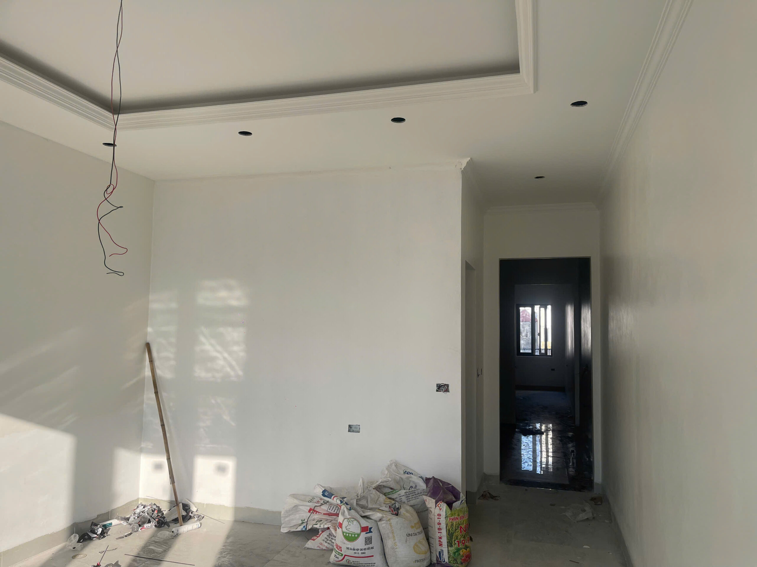 z7255803037062_6e0813ce48e0285bff06226e799f586b